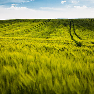 Land006