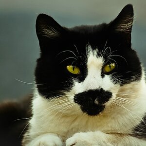 compblackwhite (1 von 1)