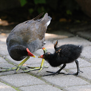 Mutter und Kind.