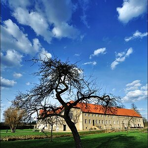 Altes Kloster 04 / 2010 _ 2