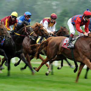 01 20100613 172606 galopp muenchen