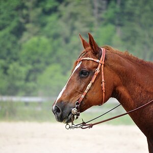 comp DSC 0536