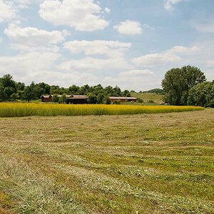 Compressed 0003