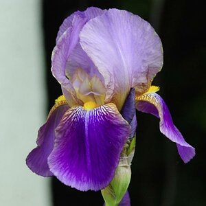 DSC 1215