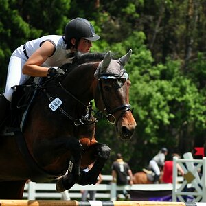 comp DSC 0069