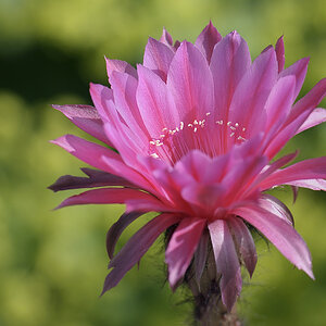 20100616 091655