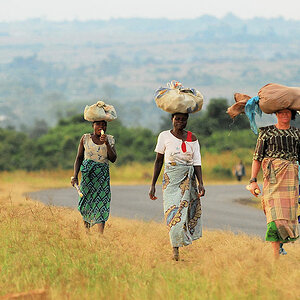 s141 Frauen 7582
Frauen tragen in Afrika schwere Lasten