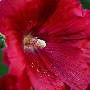 20100713 205146