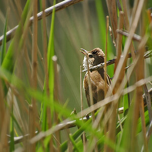 DSC 5491 1024
