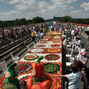 DSC4313