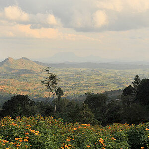 Blick auf Zomba bei der Auffahrt zum Zomba Plateau
s230 Zomba 0212