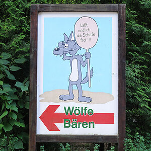 Wölfe & Bären