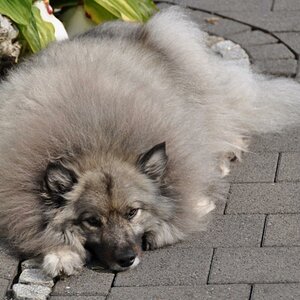 Mir ist Warm