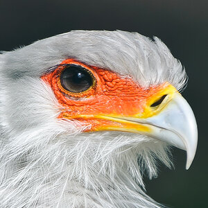 20100717 7511 [NIKON D700],400 mm,1 800 Sek. bei f   4,0 3