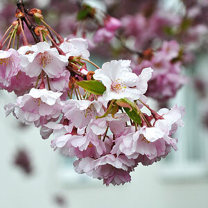 Testbilder 002