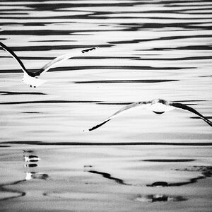 Silence @ Salton Sea