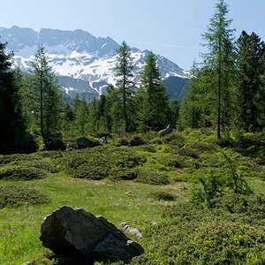Engadin 10