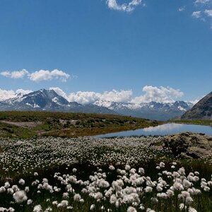 Engadin 21