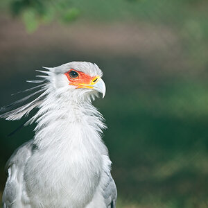 20100717 7511 [NIKON D700],400 mm,1 800 Sek. bei f   4,0 3