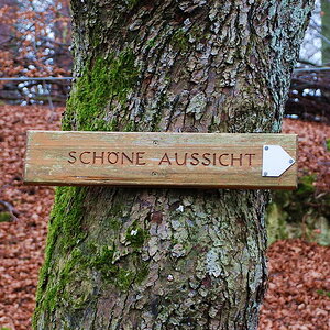 DSC 9306asf Bildgröße ändern