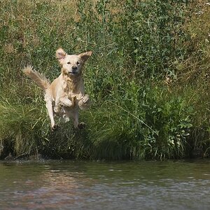 jump