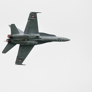D30 8732 copy
