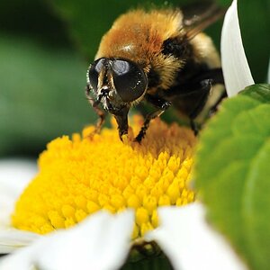 So schmeckt der Sommer