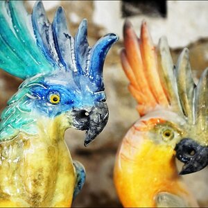 Volterra Alabasterwerkstatt Papageien