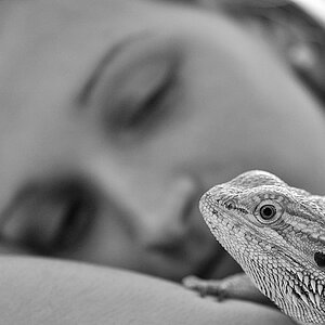 DOF Tierliebe
