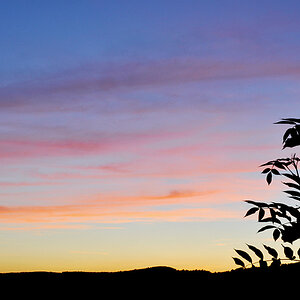 Abendlicht