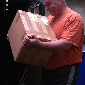 Ein armes, kleines Findelpaket ... ein leises Winseln ... ?