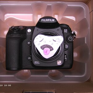 Eine arme verstoßene kleine S5Pro, wahrscheinlich verstoßen von ihrem Rudel, weil neuere, vermeintlich schönere Kameras im Fotodschungel auftauchten u