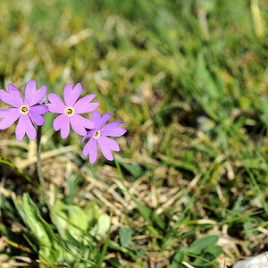 DSC6045 Kopie