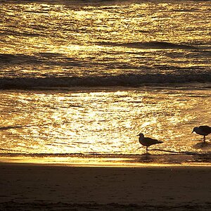 Sylt am Abend 1k
