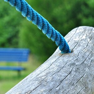 die blaue Bank