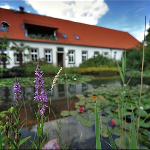Kleines Paradies 07 / 2010