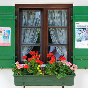 DSC 3348