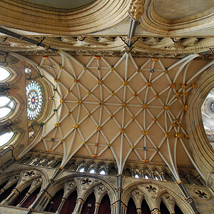 York, Deckengewölbe der Kathedrale (D80, 11mm UWW) DSC 1320