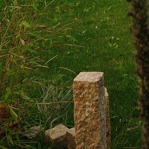 20100725 16 85 WBO 0483 Ausschnitt unten