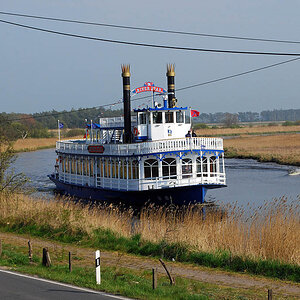 Darß - oder doch am Mississippi? (D40X, 55mm) DSC 3708 x