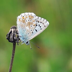 [No title]