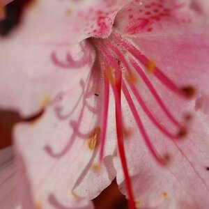 DSC 7354