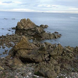 Candas
30 Dez 2009 3856