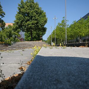 comp Hannover 113