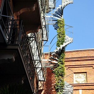DSC 0067