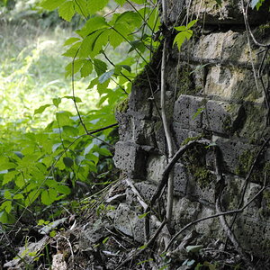 DSC0027 00120