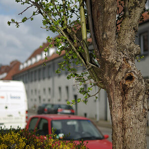 Vor der Tür