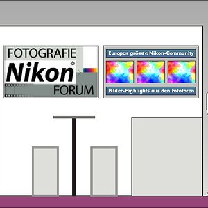 NF PK Grafik1