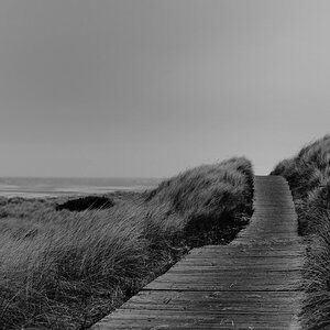 Borkum LOE4273s