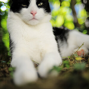 AI-S 1.4/35mm bei F/1.4